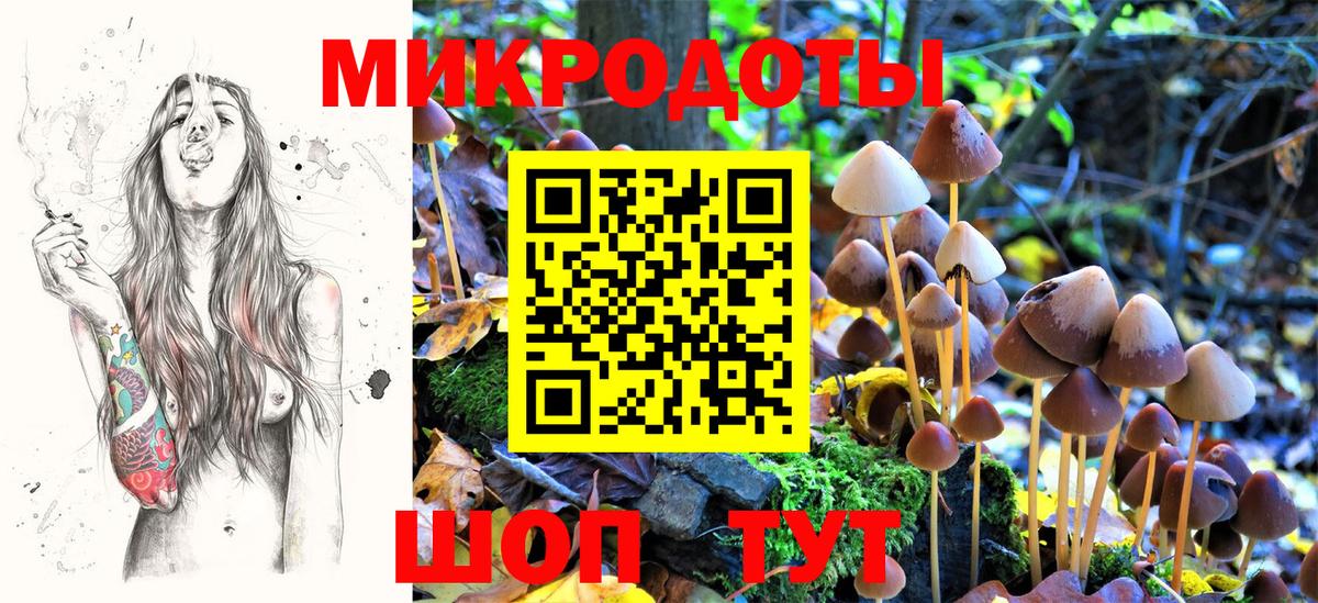 Галлюциногенные грибы Magic Shrooms  Вход с VPN  Рузаевка 